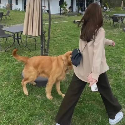 尖叫的女妖